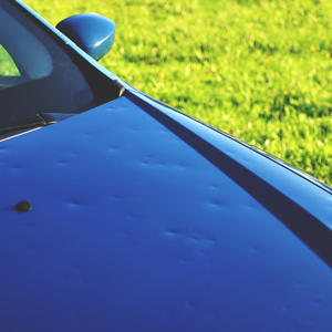 Hail Damage Storm Grid